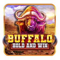 BuffaloHoldandWin