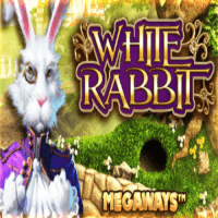 White_Rabbit